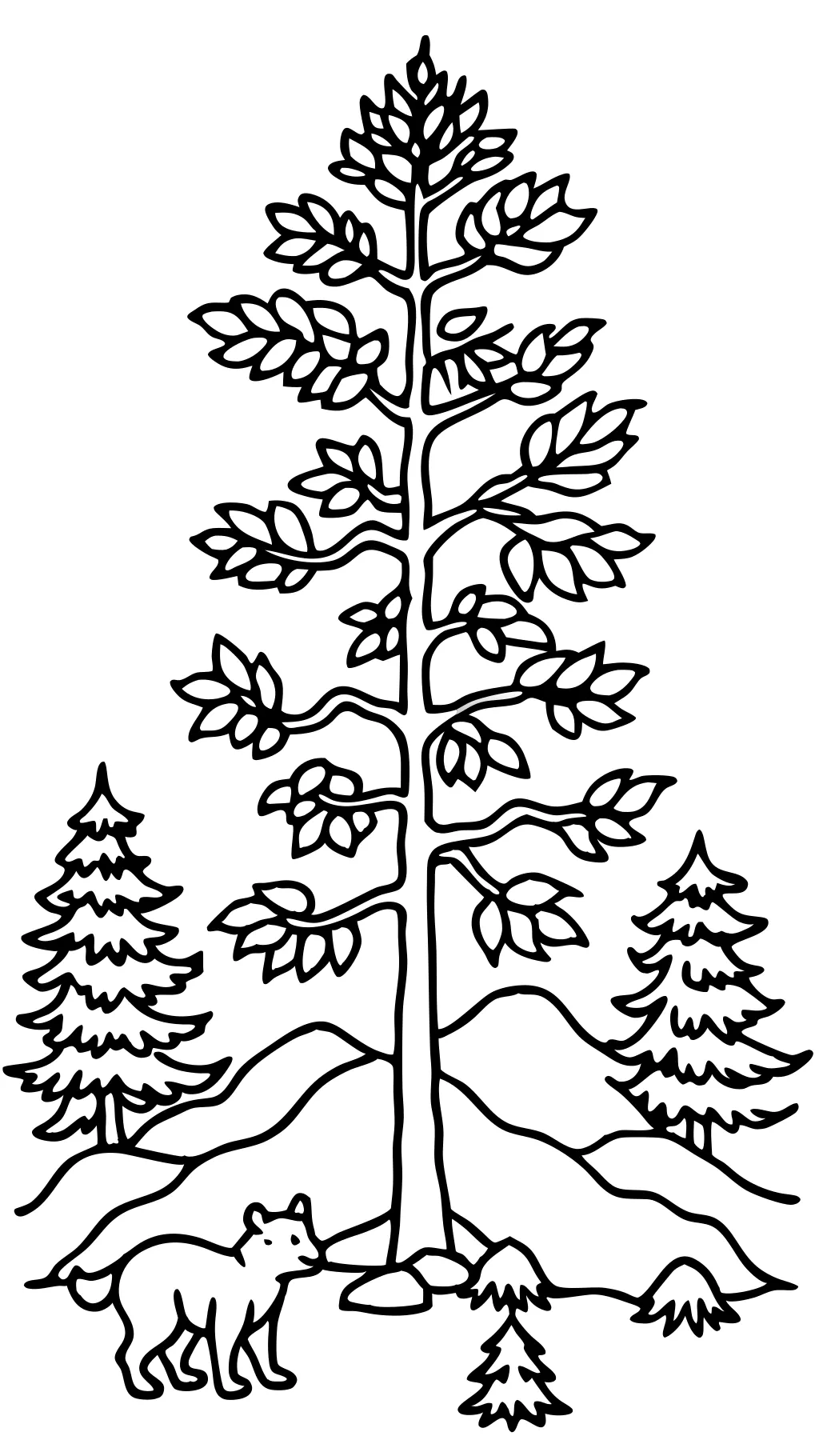 coloring page pine tree